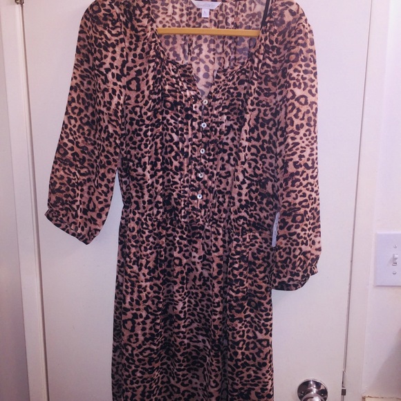 NWT Charming Charlie "Zora" Leopard Print Dress - Picture 4 of 8